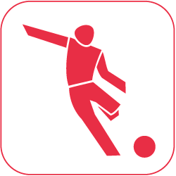 icon fussball rot auf weiss 250px