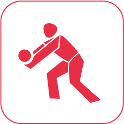 icon volleyball rot auf weiss 250px